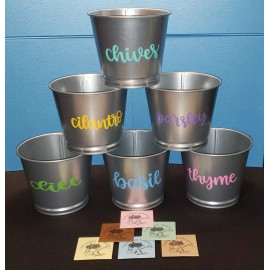 Unbranded Indoor Herb Garden Starter Kit With Reusable Metal Tins