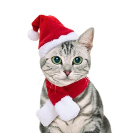 NAMSAN Christmas Cat Hats Costume, Santa Hat with Red Scarf for Cats Small Dogs, Rabbit Christmas Hat Outfit, Small Xmas Apparel for Statue, Toys Decoration