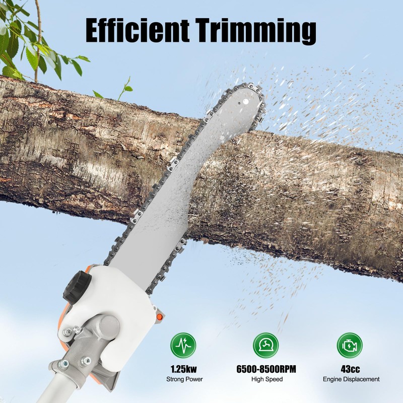JAYGOVAN Gas Powered Pole Saw, 43CC 2-Cycle Gas Pole Saws