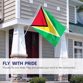 ANLEY Fly Breeze 3x5 Foot Guyana Flag The Golden Arrowhead - Vivid Color and Fade Proof - Canvas Header and Double Stitched - Guyanese Flags Polyester with Brass Grommets 3 X 5 Ft