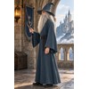 EDAUWAE Wizard Costume with Wigs Beards Pagan Tunic Costume Wizard