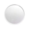Light Acrylic Circle Plate 5 mm X 150 Pie Clear AE – 129 