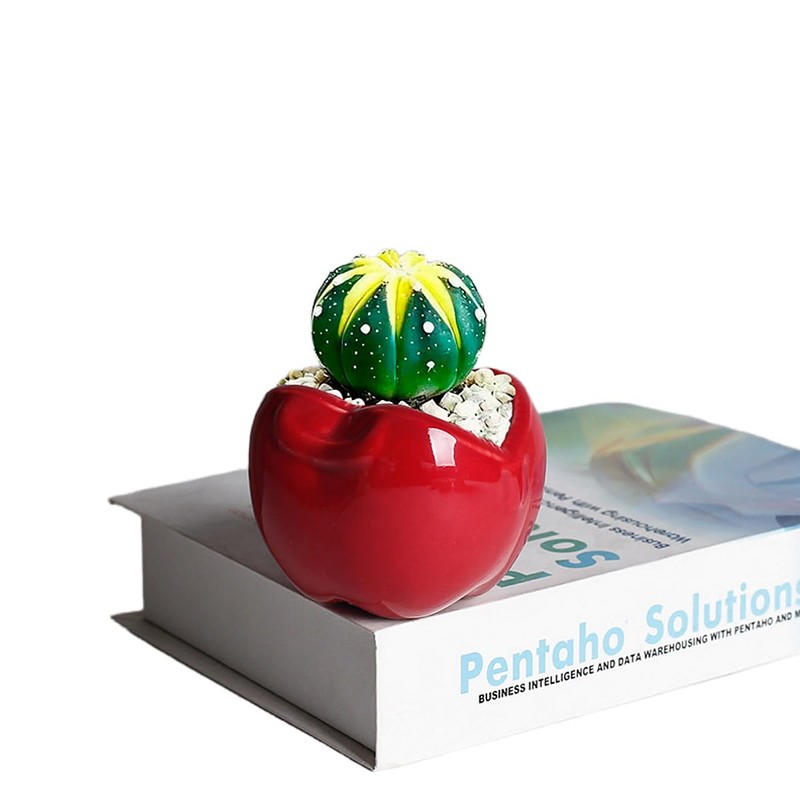Red Apple-Shaped Ceramic Pot Novelty Succulent Planter Small Flowerpot Air