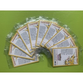 Pokémon The Movie 2000 Legendary Birds Trading Cards - Articuno, Moltres, Zapdos