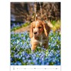 KALPA Puppy Calendar 2024: 12 Month Wall Calendar (24 x
