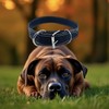 Collar para Perro De Piel Alta Calidad Resistente Entrenamiento Y