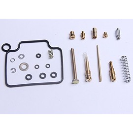 BH-Motor New Carburetor Repair Kit Carb Rebuild Kit For Honda Rancher 350 2x4 & 4x4 2000 2001 2002 2003 TRX350