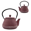 20.3oz Small Cast Iron Teapot, SECHUDO Cast Iron Tea Kettle