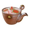 Stylish Stainless Steel Teapot with Tea Strainer, Made in Japan,