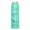 The Powder Shampoo - Powder Shampoo Aluminum Bottle Exfoliating &