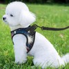 Groamaup Fireworks Flag Reflective Dog Harness with Leash, Soft Vest