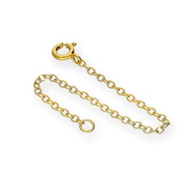 jewellerybox Gold Dipped Sterling Silver Train Chain Extender 4 Inches