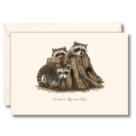 Earth Sky + Water - Raccoon Kits Notecard Set - 8 Blank Cards with Envelopes