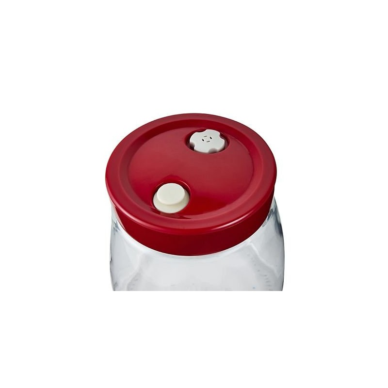 lakeland Fermentation Jar with Air-Release Valve 1L – Automatic Valve