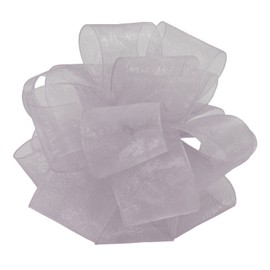 Offray Monofilament Edge Simply Sheer Asiana Craft Ribbon, 5/8-Inch Wide by 25-Yard Spool, Silver