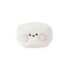 Solomon Shoji BT21 Minini Coin Case (RJ) Coin Case with