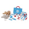 Melissa & Doug Examination and treats.