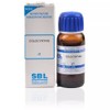 SBL Colocynthis 1X (Q) (30ml)