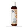 PACALLI Gel de Árnica, 120g, Fórmula Natural con Mentol y
