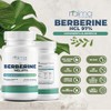 NAIMA Berberine HCL 97%, 100 Cápsulas | Suplemento Alimenticio 100%