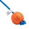 Sprenger Play Ball on Rope - Ball, Water Fun, Fetch