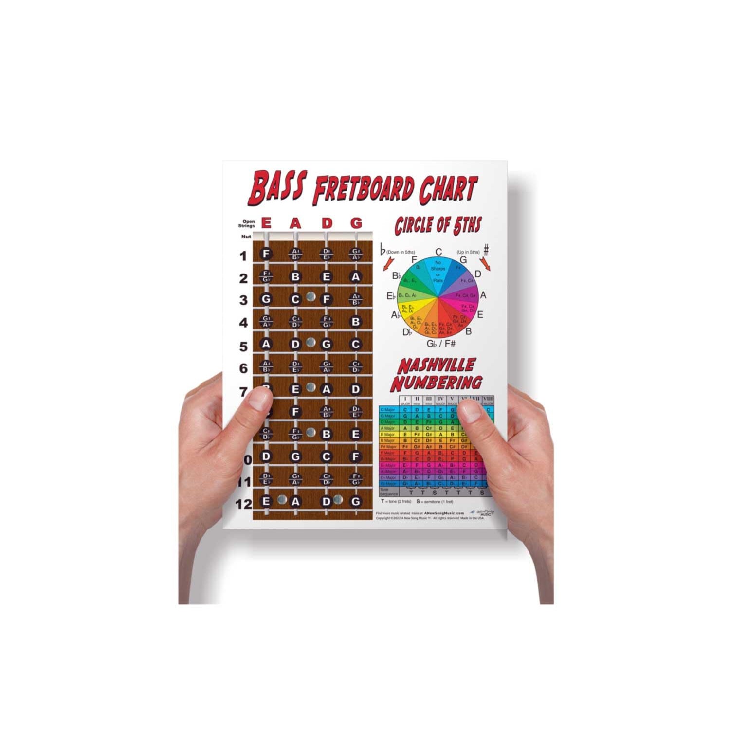 Laminated 4 String Bass Fretboard Notes Chart Nashville Number System ...