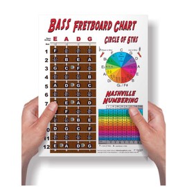 Laminated 4 String Bass Fretboard Notes Chart Nashville Number System & Circle of 5ths Easy Instructional Poster for Beginner for Notebook - A New Song Music 8.5 x 11, White
