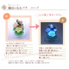 ArtFour Season Half "Glowing Rose" Firefly Preserved Flowers