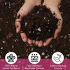 Doter Organic Orchid Potting Mix & Bark Blend 10qt -