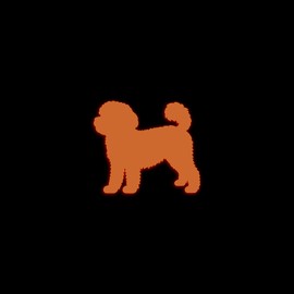 Maltipoo Dog Silhouette Glow in The Dark Sticker Decal for Phone Tablet Laptop Car Truck Window | 4" Sticker | Orange
