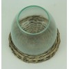 8 Inch Diameter Glass Terrarium Vase with Wicker Base
