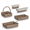 Zeller 14179 Tray Willow