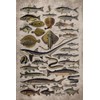 Fishing 2026 Planner Weekly and Monthly: Minimalist Calendar Organizers, goal,