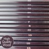 12 Graded Pencils - Draws, Tones & Shades without mess