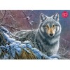 Schmidt 1000 EL. Cherry Pazzi Grey Wolf [Puzzle]