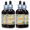 Lime (Key Lime Aurantifolia) Tincture, Organic Dried Peel Liquid Extract