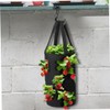 Strawberry Grow Bag 3 Gallon Hanging Tomato Planter 12 Holes