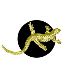 C8 Lizard CHROME GOLD COLOURED English Pewter on an Air Freshener fits on a Vent Clip Kit Decoration