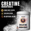 Ekkovision Creatine Monohydrate Powder, Micronized, Island Surge, Pre Workout &