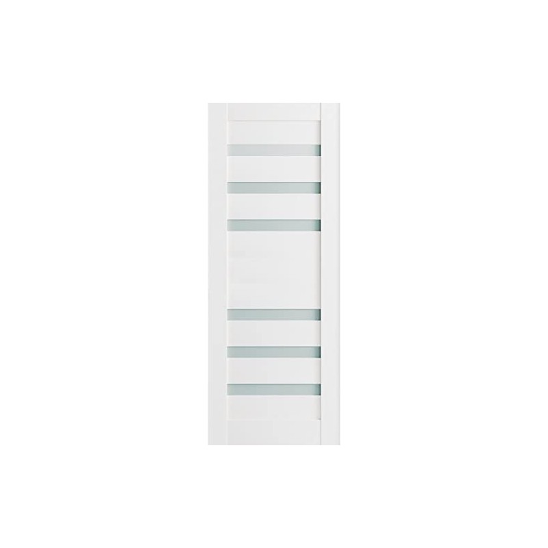Slab Barn Door Panel Frosted Glass | Quadro 4266 White
