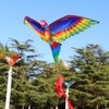 Kite 3D Parrot Kite Easy to Fly Beginner Kites for