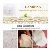 Blackhead Remover Set -LANBENA – 30g Deep Cleansing Nose Mask
