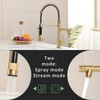 Benicabaly Enhance Kitchen Efficiency with Pull Down Sprayer Faucet, Dual-Function