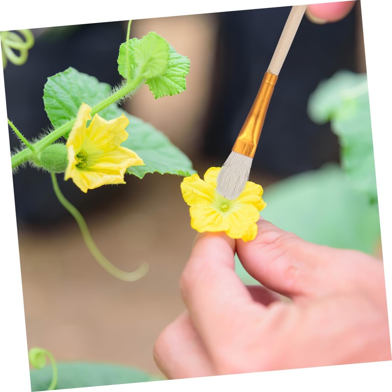 Toddmomy 8-Piece Pollinator Set for Plants Hand Pollinator for Fruit