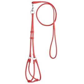 Dogline Soft and Padded Round Rolled Leather Step-in Harness with 11 to 15 Inches Chest and 3-Feet Leash, Red