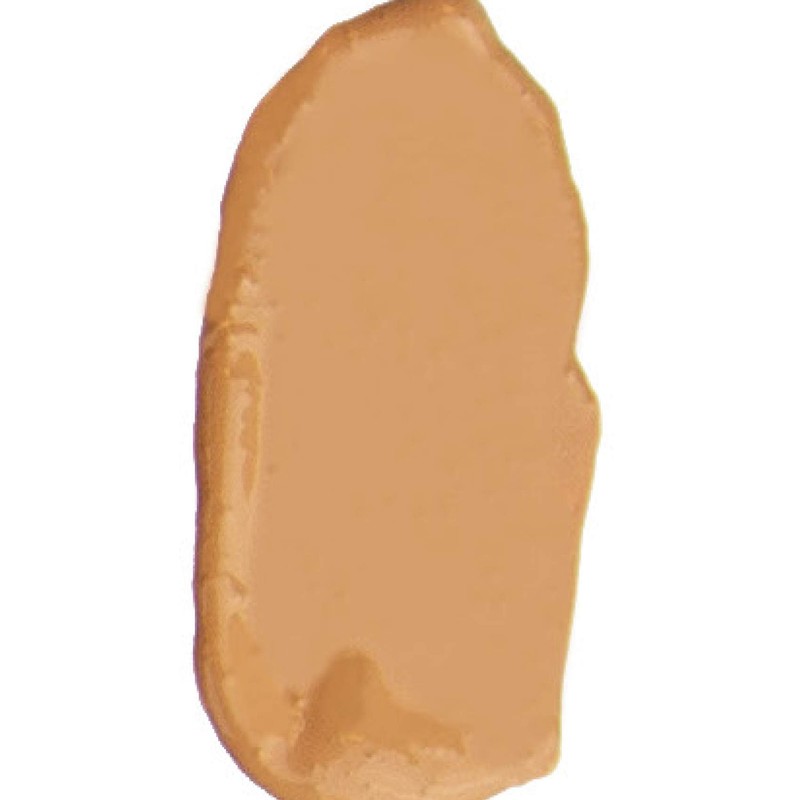 theBalm Anne T. Dotes Tinted Moisturizer, 26 (For Medium Skin),