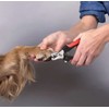 REDLIZARD Cortauñas Canino, Cortauñas para Perro, Corta uñas para Gato,