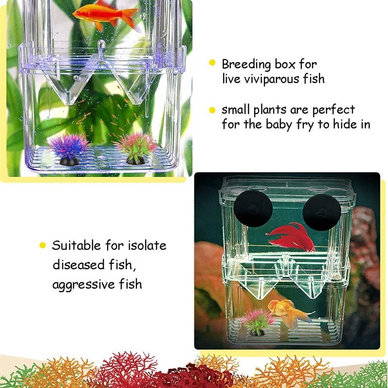 Fish Breeding Box for Aquarium, 11x 10 x 7cm, Transparent