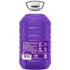 Fabuloso Multi-Purpose Cleaner 2x Concentrated, Lavender - 169 fl oz,