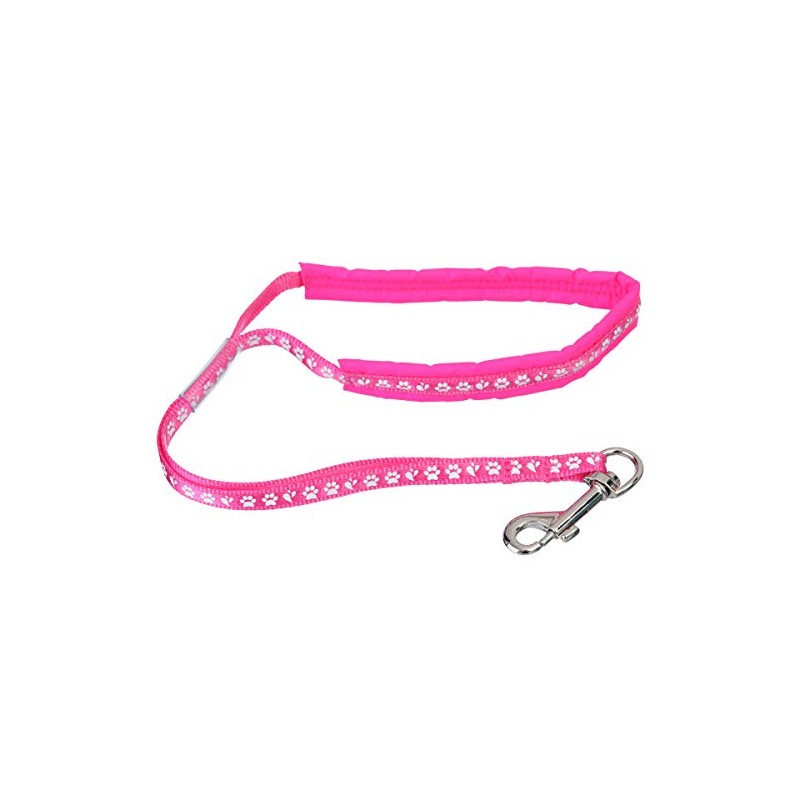 Groom Professional Allon Basic Noose With Padding Paw Print, 45